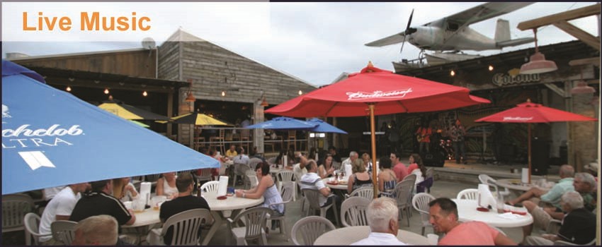 flashspikes1 flashspikes1